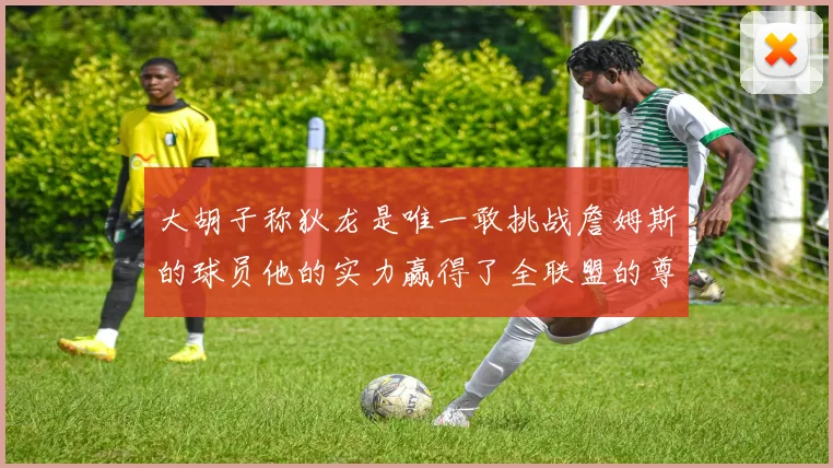 大胡子称狄龙是唯一敢挑战詹姆斯的球员他的实力赢得了全联盟的尊重