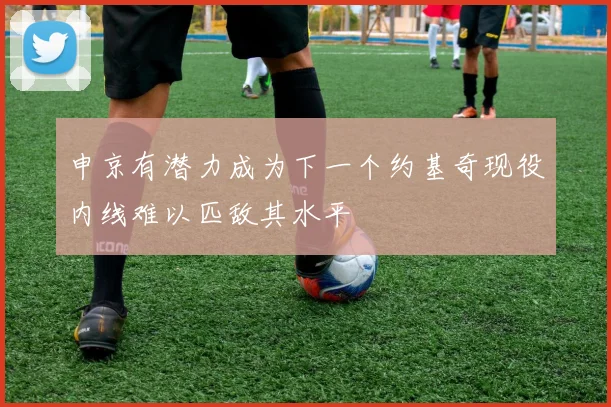 申京有潜力成为下一个约基奇现役内线难以匹敌其水平