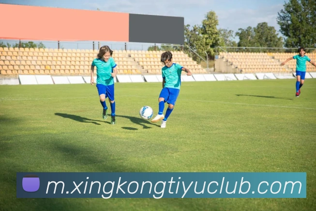 星空体育平台生态图